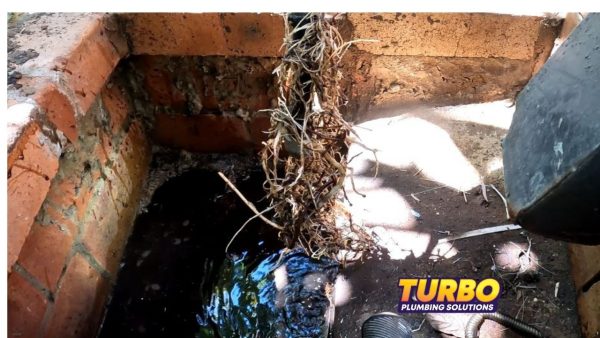 Exposed tree roots infiltrating a brick-lined outdoor drain with visible water—highlighting the risk of pipe blockages. "Turbo Plumbing Solutions" logo appears in the corner to remind you to protect plumbing from tree roots in pipes.