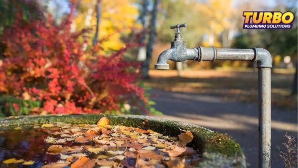 An outdoor water tap with no running water stands over a basin filled with autumn leaves—a gentle reminder of plumbing maintenance for Brisbane homes. Turbo Plumbing Solutions logo is visible in the top right corner.