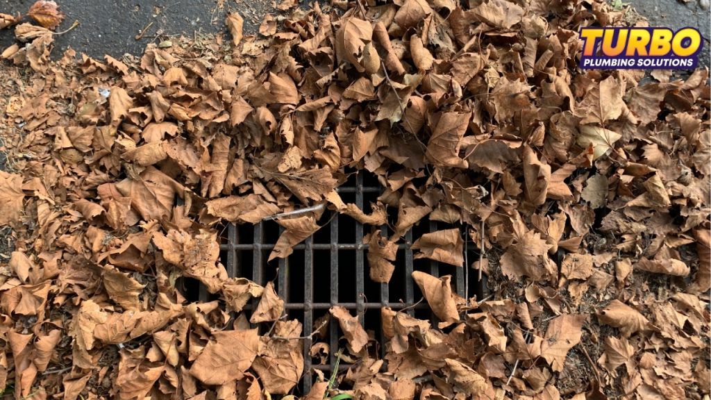 Autumn Plumbing Preparation Guide for Brisbane Homes Before Storm Season Ends