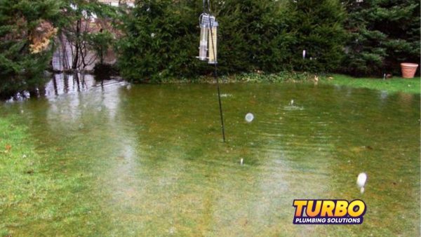 A backyard lawn flooded with water, partially submerging the grass—a clear reminder of the importance of flood prevention. A bird feeder stands in the center, with the Turbo Plumbing Solutions logo in the corner.