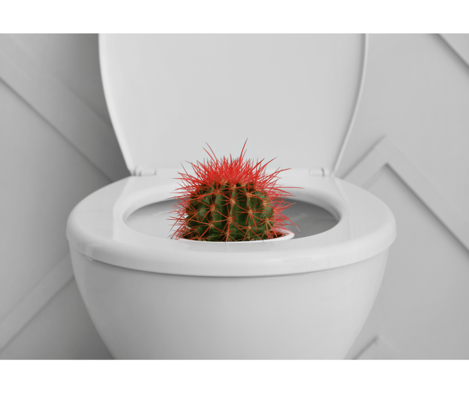 Unravelling the Mystery: Weird Things People Have Flushed Down the Toilet