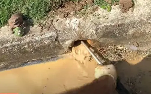 Getting a second opinion is of utmost importance