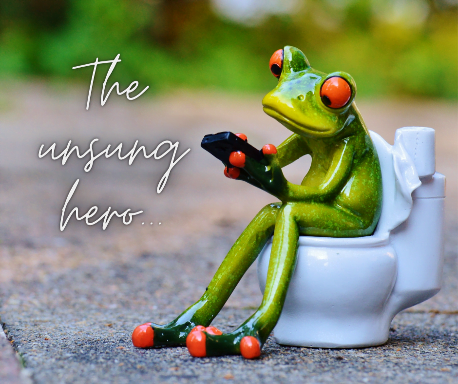 The Unsung Hero of Comfort: The Toilet – A Fundamental Plumbing Essential