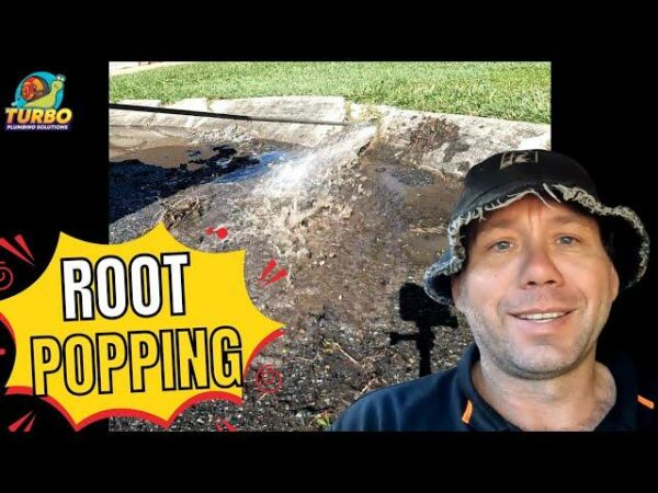 Man in a hat smiles, standing next to a burst water pipe on a sidewalk. Text reads "Root Popping.