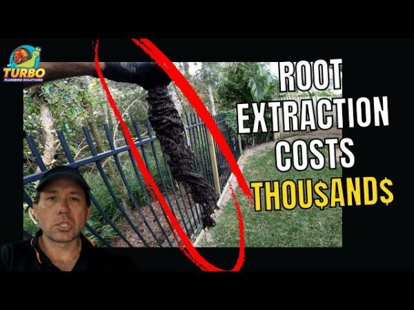 Man in a cap discusses root extraction costs. Background includes a large root entwined with a fence and trees. Text reads, "Root extraction costs thousands" with emphasis on "thousands.