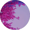 Ruylk _